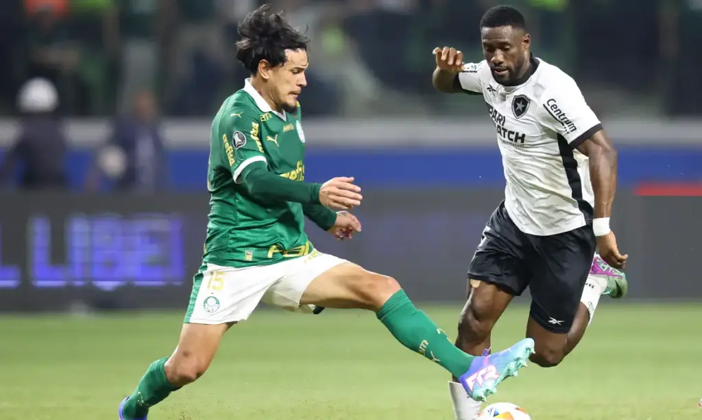 A Decisão do Campeonato Brasileiro de 2024: Botafogo ou Palmeiras?