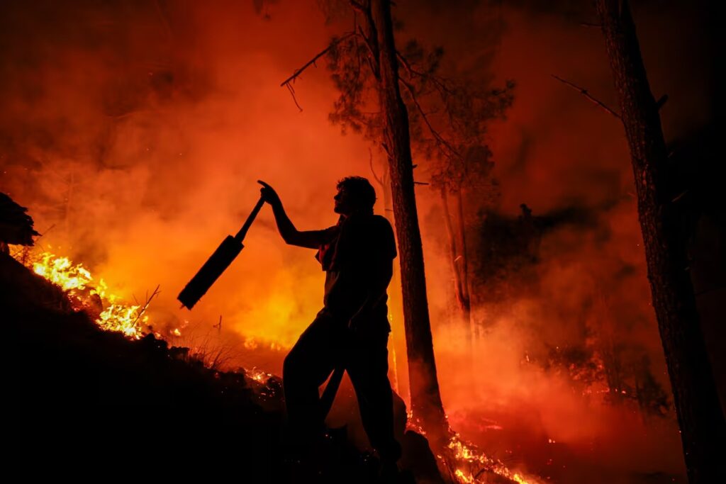 Aumento de Incêndios no Brasil: Números Alarmantes de 2024