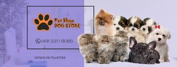 Logo Pet Shop Dog Store