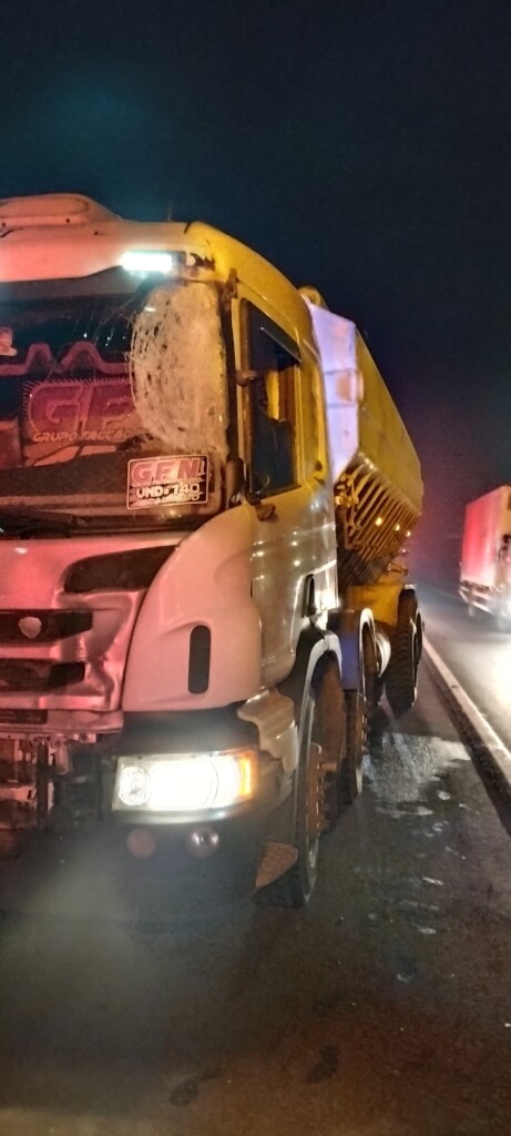 Colisão entre Caminhões na BR-282