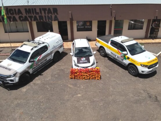 Carga de Maconha é Apreendida em Novo Horizonte