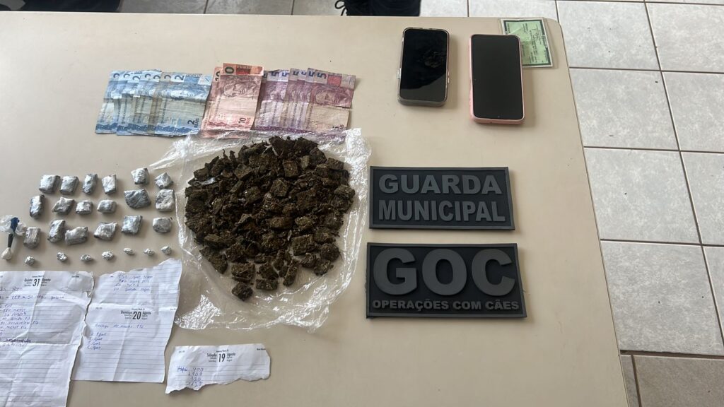 Apreensão de Drogas e Detenção em Chapecó